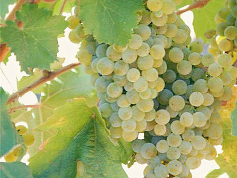 15712839104250.jpg 20150121162751ae3ed (1).jpg