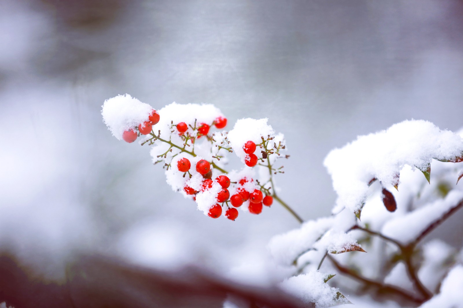 15756974303908.jpg IMG_20190105_183437.jpg