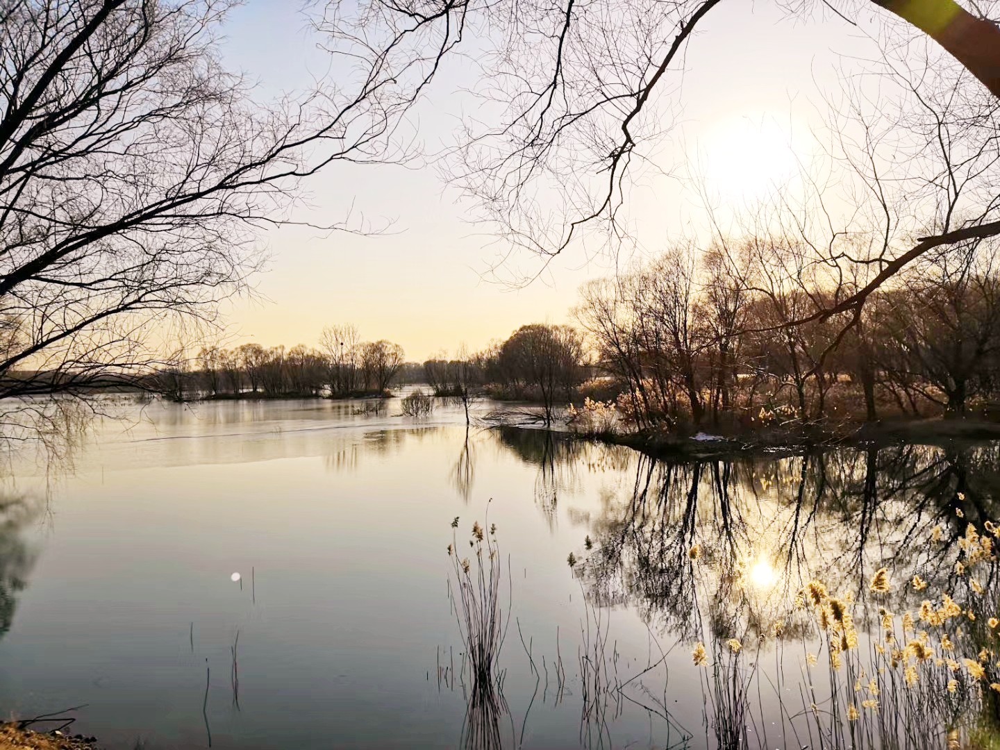 15770017501397.jpg 微信圖片_20191221160137.jpg