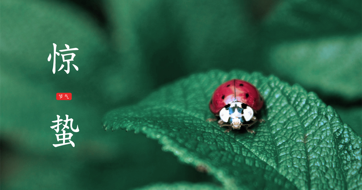 驚蟄 ▎驚蟄始，萬(wàn)物舒，與你聽(tīng)風(fēng)望春來(lái)