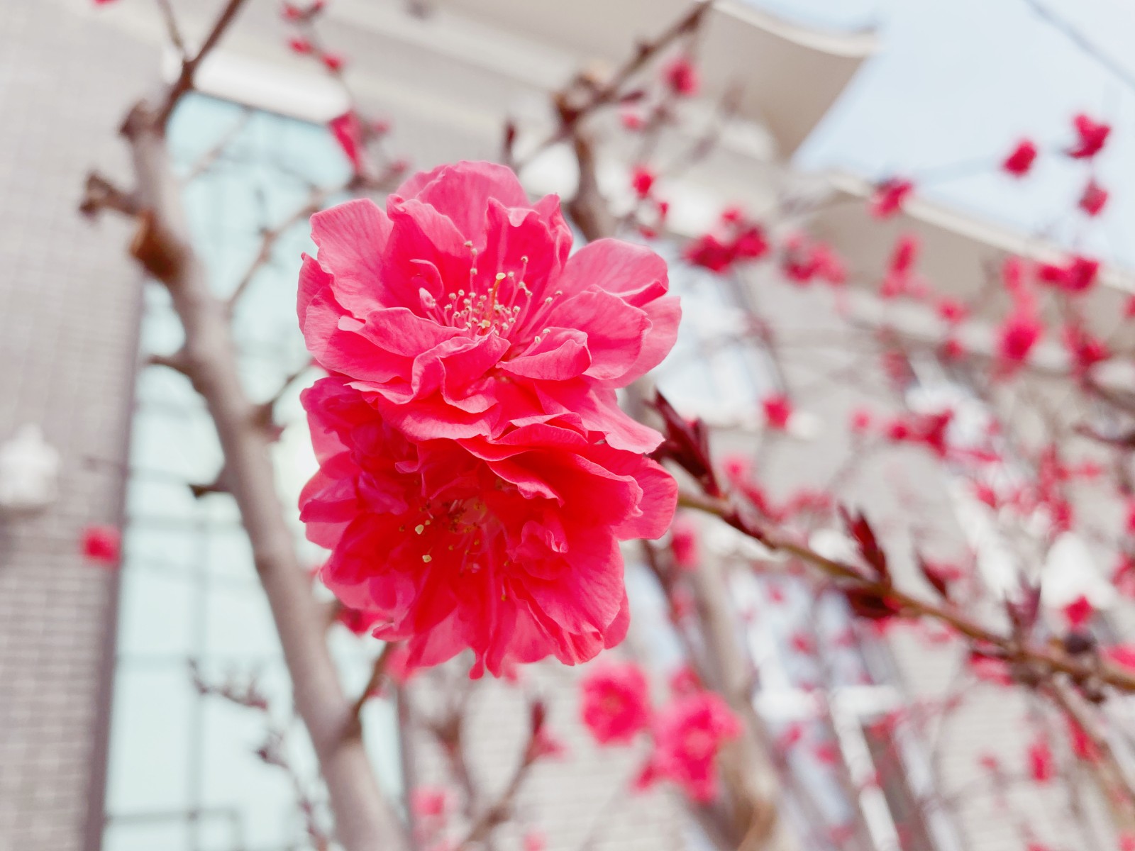 16479114763545.jpg 微信圖片_20220319111645_副本.jpg