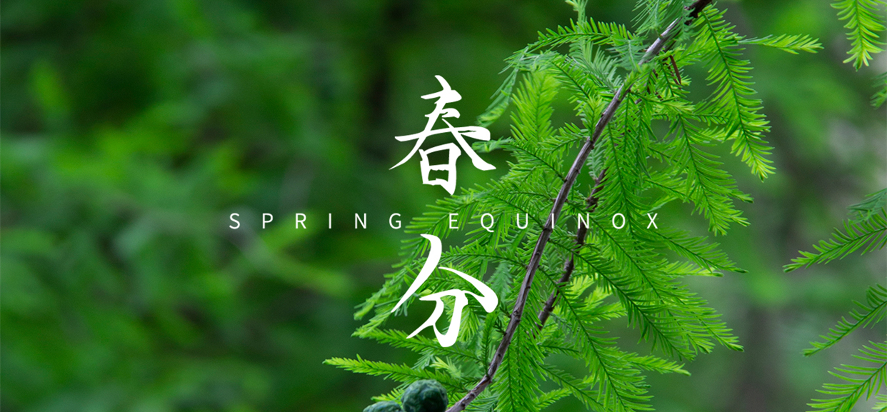 春分 ▎不負(fù)春光，萬(wàn)物生長(zhǎng)