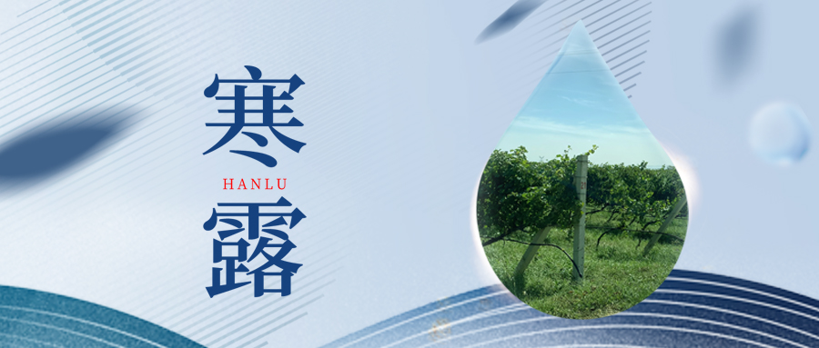 寒露丨夜露凝寒，萬物皆秋