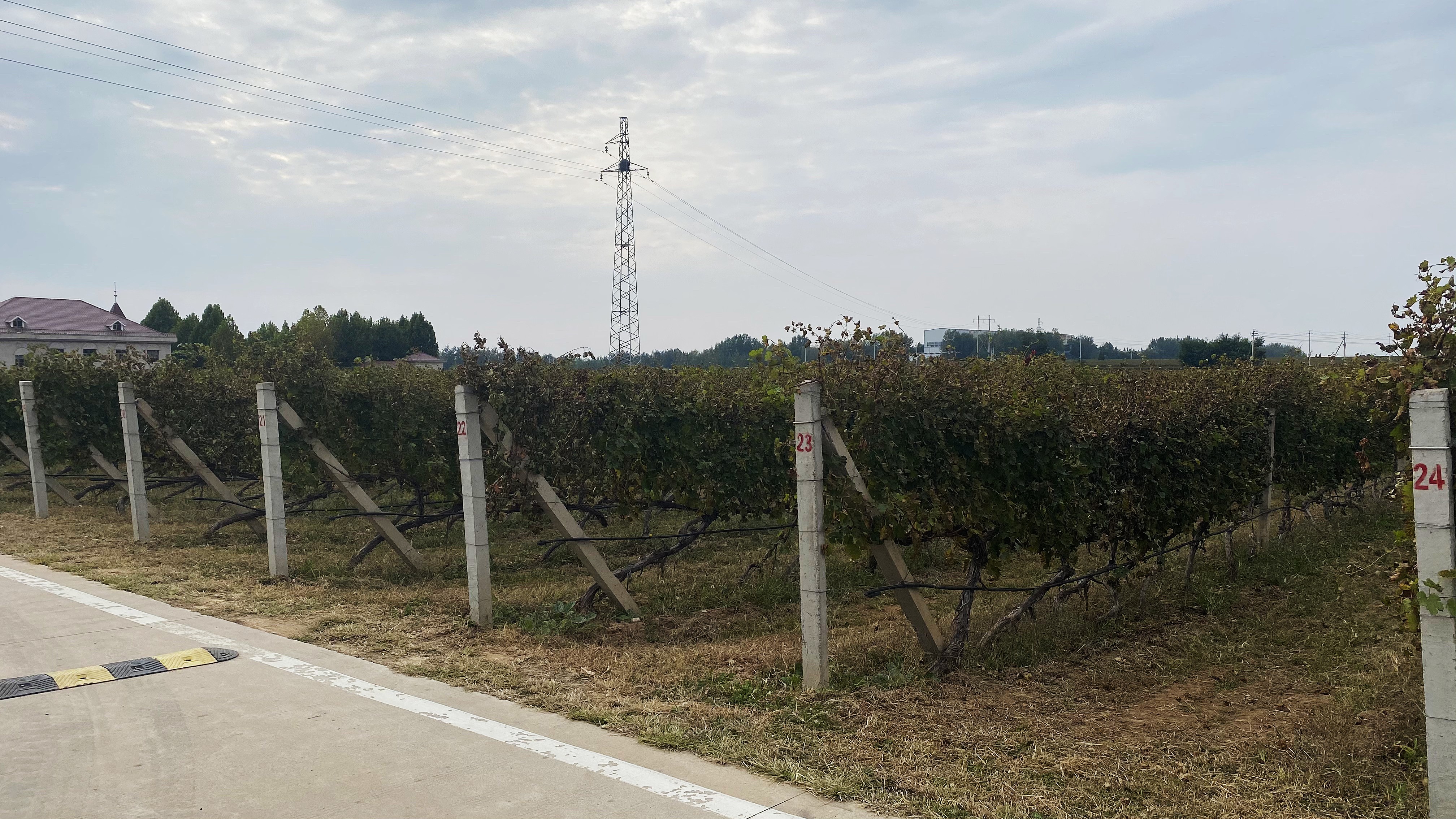 霜降 ▎秋暮露成霜，酒香酣時(shí)光