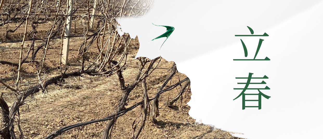 立春 ▎四序歲始，美好皆春