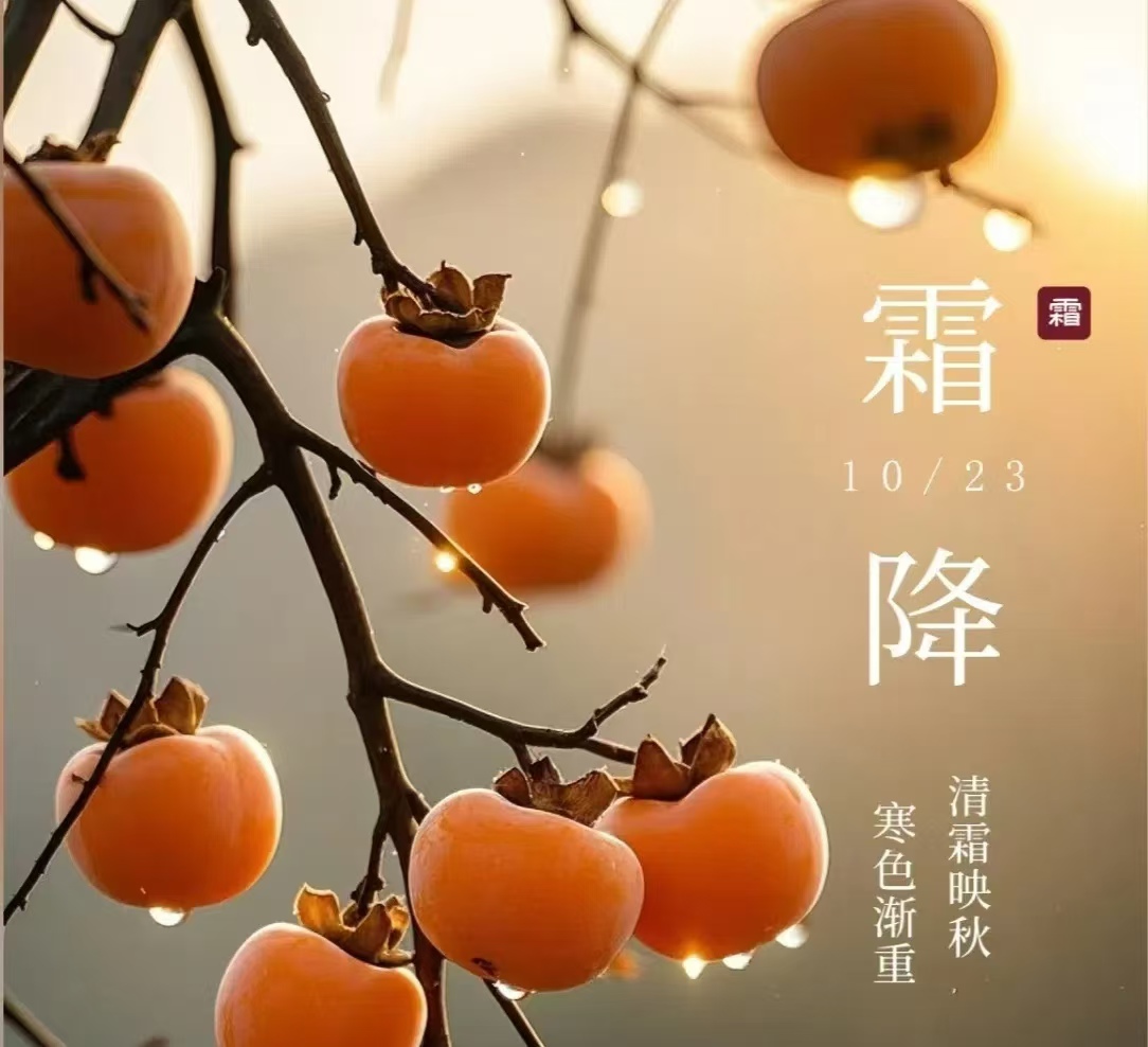 霜降||人間至此秋色盡，草木搖落露為霜